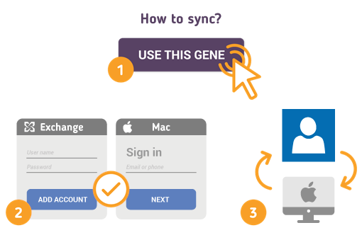 Comment synchroniser les contacts Exchange avec Mac?