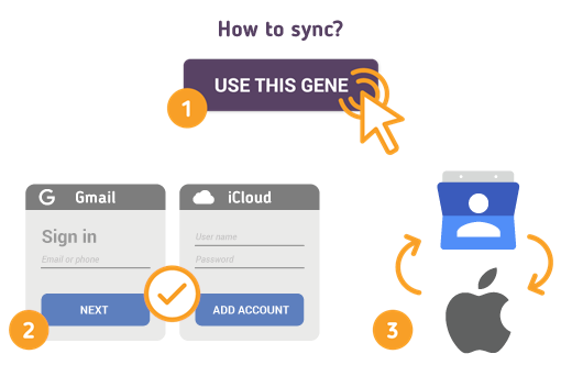 Comment synchroniser les contacts Gmail avec iOS?