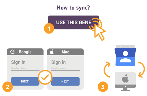 Comment synchroniser les contacts Google avec Mac?