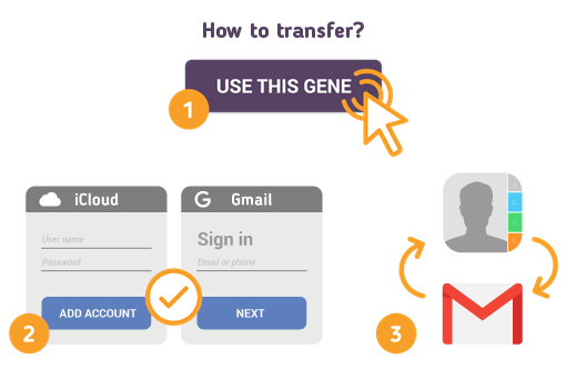 Transfer iCloud Contacts to Gmail using SyncGene service